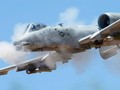 A-10 "Lợn Lòi" tuy đã 40 tuổi nhưng vẫn được lưỡng viện Quốc hội Mỹ ưu ái ủng hộ (Ảnh: USAirforce).