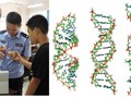 Việc Trung Quốc thu thập và lập Ngân hàng gene nam giới đang gây rúng động (Ảnh: adhrrf.org).