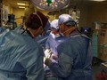Các bác sĩ Bệnh viện Đa khoa Massachusetts đang tiến hành ca ghép (Ảnh: AP).