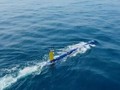 Tàu ngầm đa nhiệm không người lái (AUV) có tên là BlueWhale do công ty IAI sản xuất. Ảnh Naval News