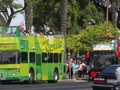 Xe buýt chở khách. Ảnh minh họa Electrek