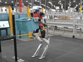 Robot Digit của Agility Robotics hoạt động trong nhà kho của GXO. Ảnh GXO