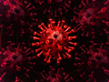 Ảnh: The Verge