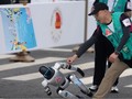 Một con robot mất kiểm soát khi bắt đầu cuộc đua bán marathon robot đầu tiên trên thế giới tại Bắc Kinh. Ảnh: SMCP.
