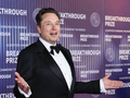 Elon Musk, 54 tuổi, là chủ sở hữu của X và là CEO của Tesla và SpaceX. Ảnh: Business Insider.