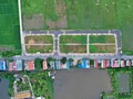 55/68 lô đất trúng đấu giá tại Thanh Oai chính thức bỏ cọc. Ảnh: Lệ Chi