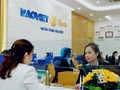 BaoViet Bank Đồng Nai cho vay hơn 1.000 tỷ không tài sản bảo đảm, nhiều rủi ro. Ảnh minh hoạ.