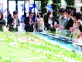 TP.HCM yêu cầu doanh nghiệp bất động sản không ủy quyền nhận đặt cọc, mua bán