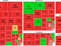 Cổ phiếu bất động sản “lao dốc”, VIC ngược dòng nâng đỡ VN-Index