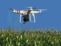 Một chiếc drone đang thu thập thông tin để phân tích cánh đồng ngô. Ảnh: Dronetechnews