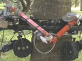 Ảnh robot trong thực tế