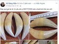 Răng động vật hoang dã được rao bán công khai trên nhiều trang cá nhân.