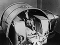 Chó Laika ngồi trong khoang chứa của vệ tinh Sputnik 2. Hình ảnh: Getty Images.