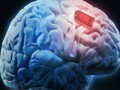 Tăng cường bộ nhớ của những người bị bệnh Alzheimer (Ảnh: Shutterstock)