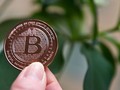 Cày bitcoin đã gây tác động tiêu cực đến nguồn tài nguyên điện trên toàn thế giới Ảnh: AFP
