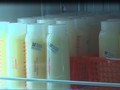 Sữa mẹ được lưu trữ và bảo quản chặt chẽ tại  "Ngân hàng sữa mẹ" của BV Từ Dũ