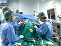 Lần đầu tiên Việt Nam phẫu thuật thành công khối phình khổng lồ động mạch thận có ghép thận tự thân
