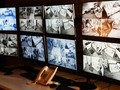 Video trộm từ camera an ninh được bán giá 3 USD