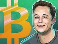 Elon Musk: 'Tôi chưa bán một đồng Bitcoin nào'