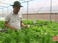 Chuyển đổi số trong nông nghiệp