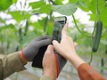 Xây dựng cơ sở dữ liệu hơn 100 giải pháp công nghệ hỗ trợ chuyển đổi số nông nghiệp