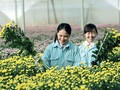 Du lịch canh nông phát triển mạnh ở tỉnh Lâm Đồng.