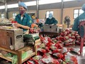 Nhân rộng mô hình hộ sản xuất nông sản số ở Thái Nguyên