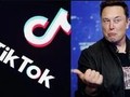 Thực hư thông tin Elon Musk muốn mua lại và xóa bỏ mạng xã hội TikTok