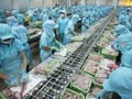 Xuất khẩu thủy sản đang thực sự khó khăn