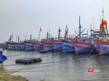 Từ trưa nay (25/10), Quảng Nam cấm biển để ứng phó với bão Trà Mi