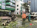 Lực lượng công nhân tổ chức khắc phục hậu quả bão số 9 ngay khi ngớt gió