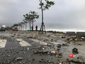 Đường Võ Nguyên Giáp (Đà Nẵng) biến thành bình địa khi cơn bão số 9 quét qua Đà Nẵng