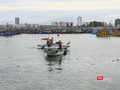 Lực lượng bộ đội biên phòng kêu gọi tàu thuyền neo đậu an toàn tại ân thuyền Thọ Quang (Đà Nẵng)