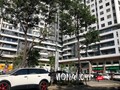 Chung cư Monarchy Block B (Đà Nẵng)