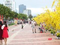 Tuyến Bạch Đằng nối dài (đoạn từ cầu Rồng đến cầu Trần Thị Lý) được trang trí làm đường hoa trong dịp Tết Nguyên đán 2022