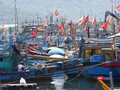 Thuyền thúng trên các tàu cá của ngư dân miền Trung