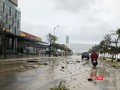 Đường Hoàng Sa (quận Sơn Trà, TP Đà Nẵng) sau bão Noru