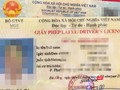 Từ ngày 6/3, Sở GTVT TP Đà Nẵng chính thức triển khai thí điểm dịch vụ công trực tuyến cấp độ 4, cấp đổi giấy phép lái xe trên địa bàn TP.