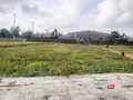 Khu đô thị do Bách Đạt An tại khu đô thị Điện Nam - Điện Ngọc bỏ hoang
