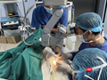 Các bác sĩ Bệnh viện Trung ương Quân đội 108đang thực hiện ca ghép giác mạc cho bệnh nhân (Ảnh BVCC)