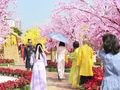 Người dân du xuân tại đường hoa Xuân Đà Nẵng 2024