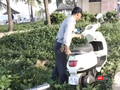 Hình ảnh nhân viên trật tự Ban quản lý bán đảo Sơn Trà và các bãi biển du lịch Đà Nẵng cố gắng di chuyển xe máy để sai quy định, ảnh hưởng lối đi bộ của du khách.
