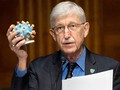 Tại một phiên điều trần về vaccine Covid-19, ông Francis Collins, Giám đốc Viện Sức khỏe Quốc gia (NIH) đưa ra mô hình của virus đang gây nên đại dịch toàn cầu. Ảnh: AP.