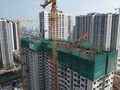 Coteccons đặt mục tiêu doanh thu trở lại mốc tỷ USD