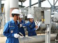 Lọc hoá dầu Bình Sơn làm ăn ra sao trước thềm “chuyển nhà” sang HoSE?