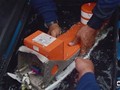 Phần đầu tiên của hộp đen máy bay AirAsia được tìm thấy ngày 12/1 - Ảnh: AP.