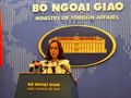 Phó phát ngôn Bộ Ngoại giao Phạm Thu Hằng