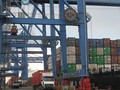 Hoạt động XNK ở cảng Cát Lái, TP.HCM.