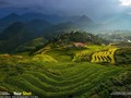 Mây sà xuống những thửa ruộng bậc thang đẹp sững sờ ở miền núi Việt Nam