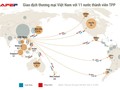 Các nước TPP chiếm gần 40% giá trị xuất khẩu của Việt Nam